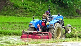 NEW HOLLAND TT55 Tractor  ট্রাক্টরটি কিভাবে পানিতে আটকে গেলো দেখেন  Village Field [upl. by Cindra704]