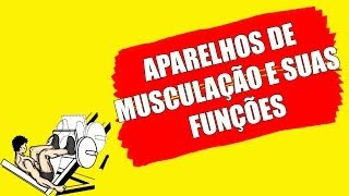 APARELHOS DE MUSCULAÇÃO E SUAS FUNÇÕES [upl. by Strickland]