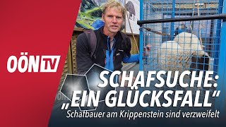 Schafsuche auf dem Krippenstein quotEin Glücksfallquot [upl. by Grous]