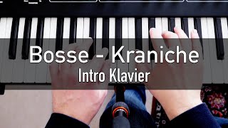 Bosse  Kraniche  Intro Klavier Tutorial [upl. by Ansley898]