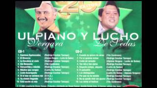 Linda Guaniqueña  Ulpiano Vergara y Lucho de Sedas  Discos Tamayo  Panamá [upl. by Checani459]