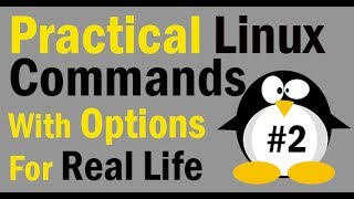 Linux Commands for Real Life with Examples [upl. by Lebam]