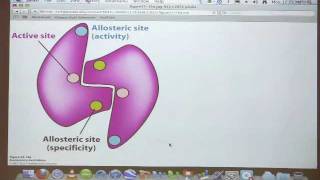 Kevin Aherns BiteSized Biochemistry 40  Nucleotide Metabolism II [upl. by Acirretahs544]