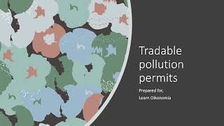 Tradable pollution permits [upl. by Glenden]