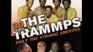 The Trammps Only The Strong Survive [upl. by Kilroy]