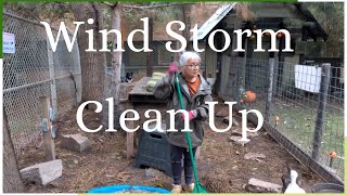 Wind Storm Clean Up [upl. by Baese]