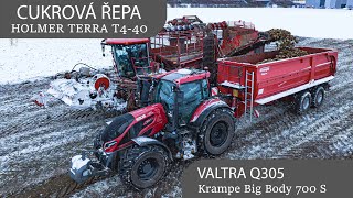 ❄️Cukrová řepa 🟥 Holmer T440  🔴 Valtra Q305  Sugar beet in the snow winter [upl. by Retsim]