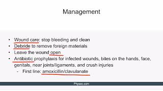 Human Bites  Clinical presentations Complications Diagnosis Management [upl. by Barina]