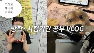 📑여름방학중간고사 D21 시험기간 공부 브이로그vlog • 고등학교 • 08 [upl. by Varien739]