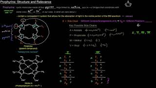 Heme and its Metabolism Porphyrins  Structure and Relevance free sample [upl. by Grail]