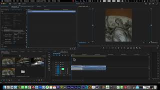 Premiere Pro CC 0021  come convertire una timeline da orizzontale a verticale [upl. by Sucramed]