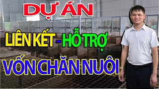 Dự Án Liên Kết Hỗ Trợ Vốn Chăn Nuôi  Kế Hoạch Xuất Khẩu Chồn Mốc 2026 Trại Chồn Lớn Nhất Miền Bắc [upl. by Thorstein]