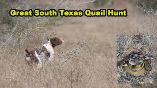 South Texas Wild Quail Hunt [upl. by Boykins]