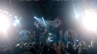 Aborted  Bound in Acrimony live  MMC Bratislava [upl. by Ulrika]