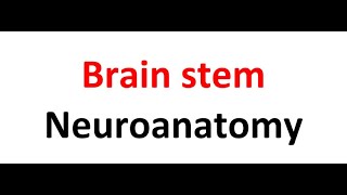 Neuroanatomy Lecture 2 [upl. by Scheers]