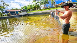 PASSEI A REDE NA REPRESA DA FAZENDA E PEGUEI TODOS OS PEIXES [upl. by Buford]