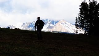 Coyote Chasing a Grizzly Bear [upl. by Alodie]