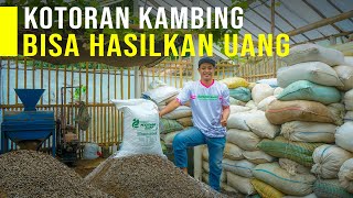 Modal Kotoran Kambing Diolah Menjadi Pupuk Organik Bisa Hasilkan Uang [upl. by Haimorej778]