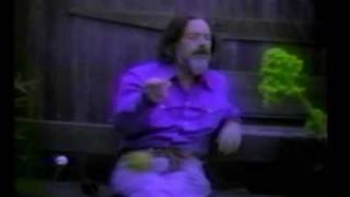 Alan Watts  Work As Play Pt 33 [upl. by Stouffer]