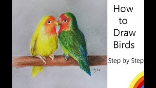 How to draw birds [upl. by Ahlgren223]