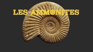 Les Ammonites [upl. by Sudnak]