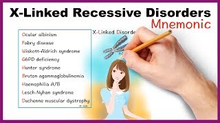 XLinked Recessive Disorders Mnemonic [upl. by Cord]