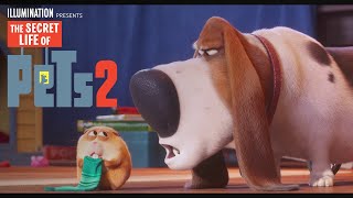 The Secret Life Of Pets 2  Now on 4K Bluray DVD amp Digital  Illumination [upl. by Hale]