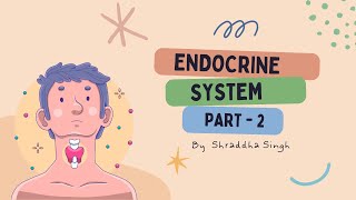 Endocrine System  Part  2 [upl. by Eslehc221]