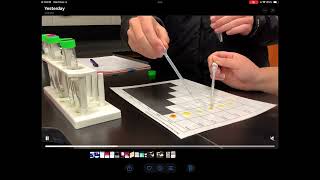 SHS AP Chem Precipitation Reaction Lab [upl. by Trebloc]