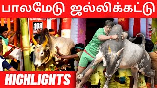 Highlights Of Palamedu Jallikattu 2023  பாலமேடு ஜல்லிக்கட்டு  Vikatan [upl. by Cordova]