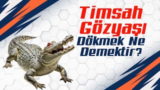 Timsah Gözyaşı Dökmek  deyimler atasözleri bunubiliyormuydunuz [upl. by Derinna]