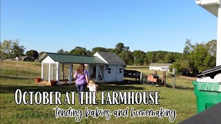 🍂 October at the farmhouse  tending babies and homemaking [upl. by Girvin]