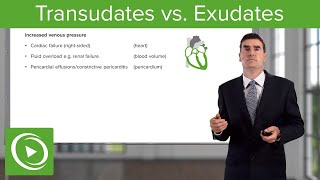 Transudates vs Exudates – Pleural Disease  Lecturio [upl. by Gnat704]