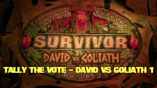 Tally the Vote David vs Goliath 1 [upl. by Anyaled101]