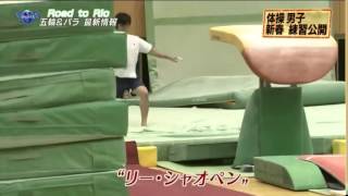 Kenzo Shirai training Li Xiaopeng vault [upl. by Yecac148]