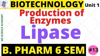 LipaseProduction of EnzymesBiotechnologyUnit 1 B Pharmacy 6 SemLect13 [upl. by Kezer706]