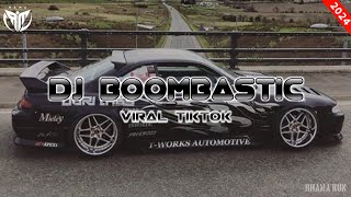 DJ boombastic shaggy  viral tiktok 2024 [upl. by Mccoy]