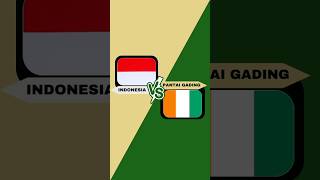 Perbandingan Negara antara Indonesia 🇮🇩 vs Pantai Gading Ivory Coast 🇨🇮  Versi geodatadunia [upl. by Alleacim]