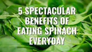 5 Spectacular Benefits Of Eating Spinach Everyday [upl. by Harras]