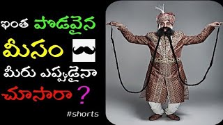 ⚡😱INTERESTING AND amp UNKNOWN FACTS IN TELUGU😱 Telugu facts  Shorts TeluguFacts  Bizzare facts⚡ [upl. by Oisacin]