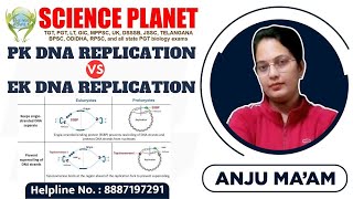 PROKARYOTIC amp EUKARYOTIC DNA REPLICATION II DIFFERENCE II BY ANJU MAM [upl. by Yespmed686]