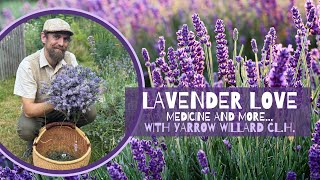 Lavender Love  Medicine and More with Herbalist Yarrow Willard [upl. by Atnoid]