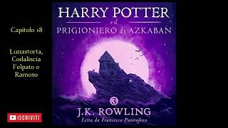 Harry Potter e il Prigioniero di Azkaban Audiolibro Italiano letto da Francesco Pannofino Capitolo18 [upl. by Laughton764]