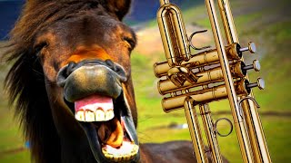 How to do the Horse Whinny from Sleigh Ride  Trumpet Lessons [upl. by Dolhenty98]