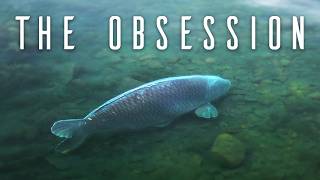 THE OBSESSION  Full Carp Fishing Movie [upl. by Ayeki399]