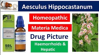 Aesculus Hippocastanum Homeopathic Medicine  Drug Picture  Materia Medica bhms [upl. by Akeme825]