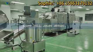 Instant nutritional powder making extruder machine production line made in China [upl. by Ladew163]