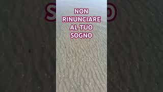 NON RINUNCIARE AL TUO SOGNO sogni sogno frase frasi [upl. by Simons13]