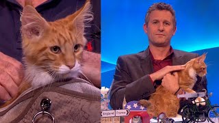 Turning John Cleeses Cat Francis Into A Celebrity  The Last Leg [upl. by Ayotel869]