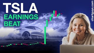 TSLA Earnings Beat [upl. by Eelyr451]